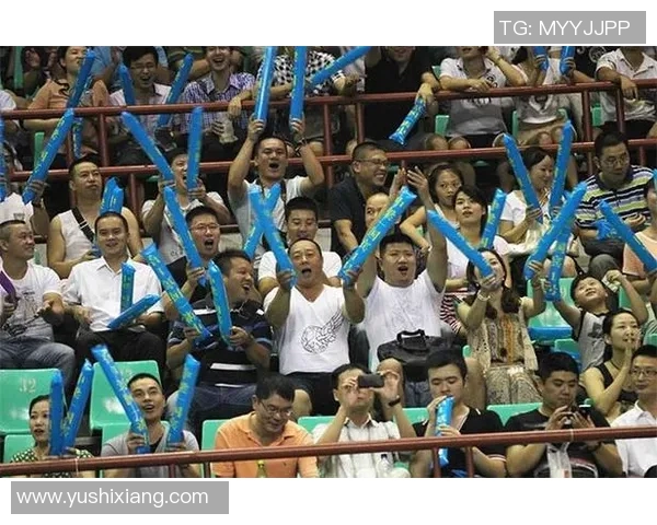 杭州羽毛球队边路渗透革新探索与实践的深度分析与展望